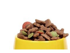 中国宠物食品市场调研：预计市场规模有望达到约2417亿元
