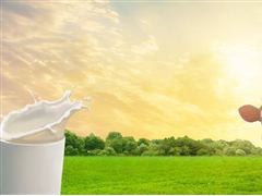 中国乳制品行业市场调研：预计零售额将突破5000亿元