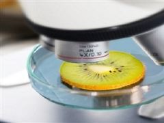 四部门联合部署秋季学校食品安全工作 食品安全检测行业调研2022