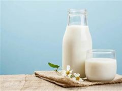 2022中国乳制品行业销售额与发展趋势调研