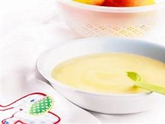 婴儿辅食行业市场全景调研