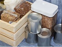 2022中国罐头食品行业市场全景调研